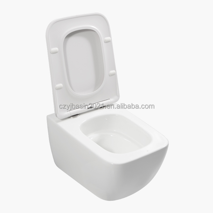 Toilet,Standard Toilet Bowl Se - P & C Home Textiles Usa ulasan dan harga