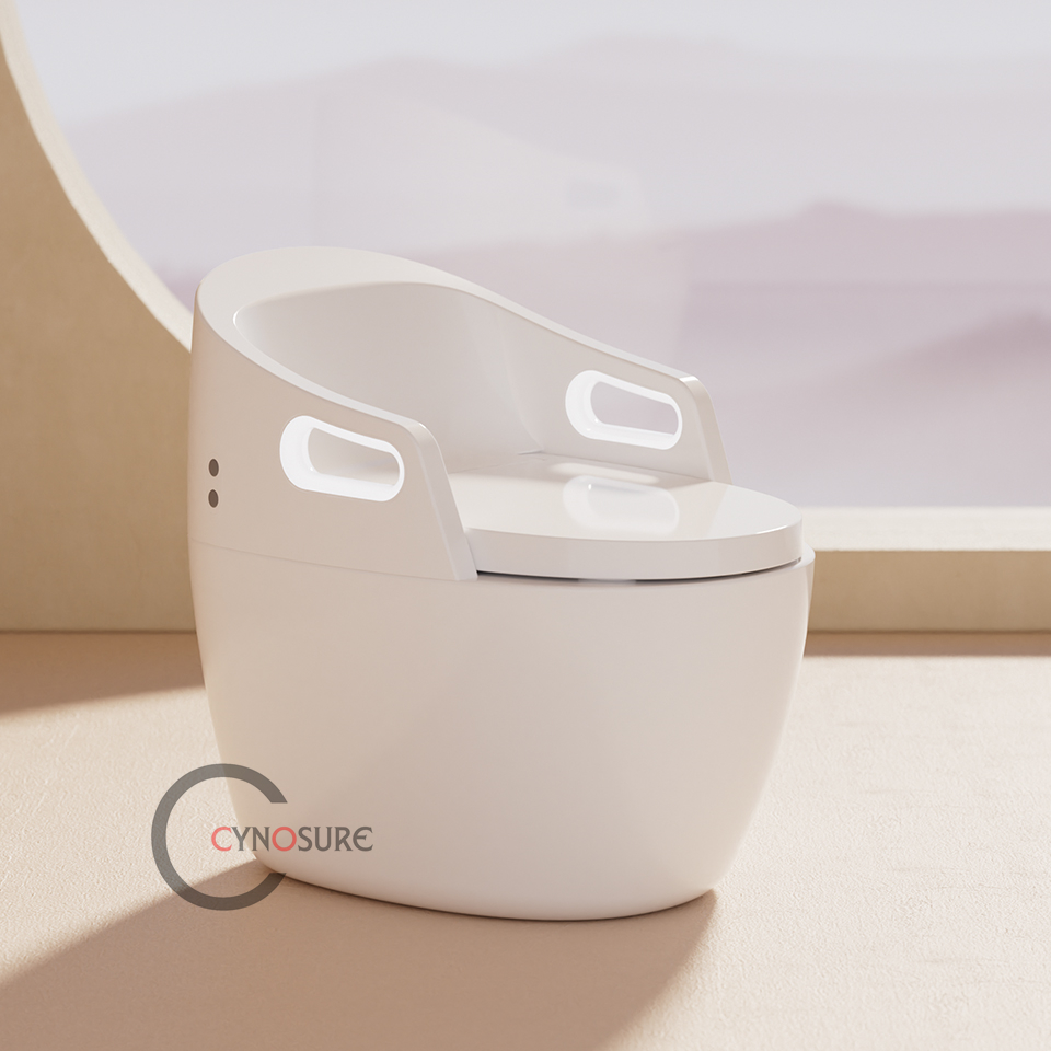 Toilet,New Design Massage Func - P & C Home Textiles Usa ulasan dan harga